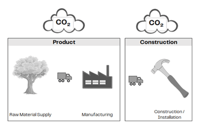 Illustration of the key life cycle stages