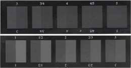 What Is The Greyscale, and Why Is It Important?