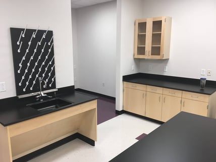 Example of laboratory phenolic panels application of counters and casework