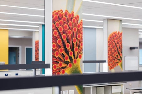 Middlemore Hospital using digitally printed Fundermax wall lining HPL panels