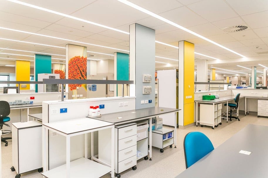 Yellow and blue phenolic panels with custom digitally printed designs inside Middlemore Hospital 