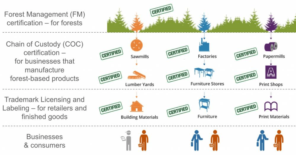 What Does “FSC Certified” Mean on Wood & Lumber Products